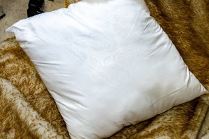Insert de coussin
