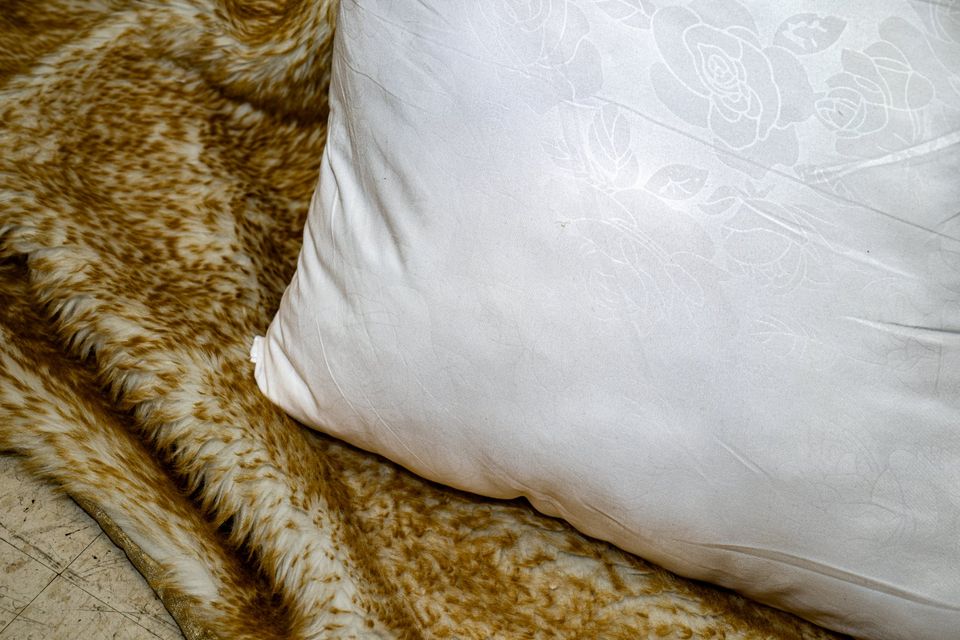 Insert de coussin